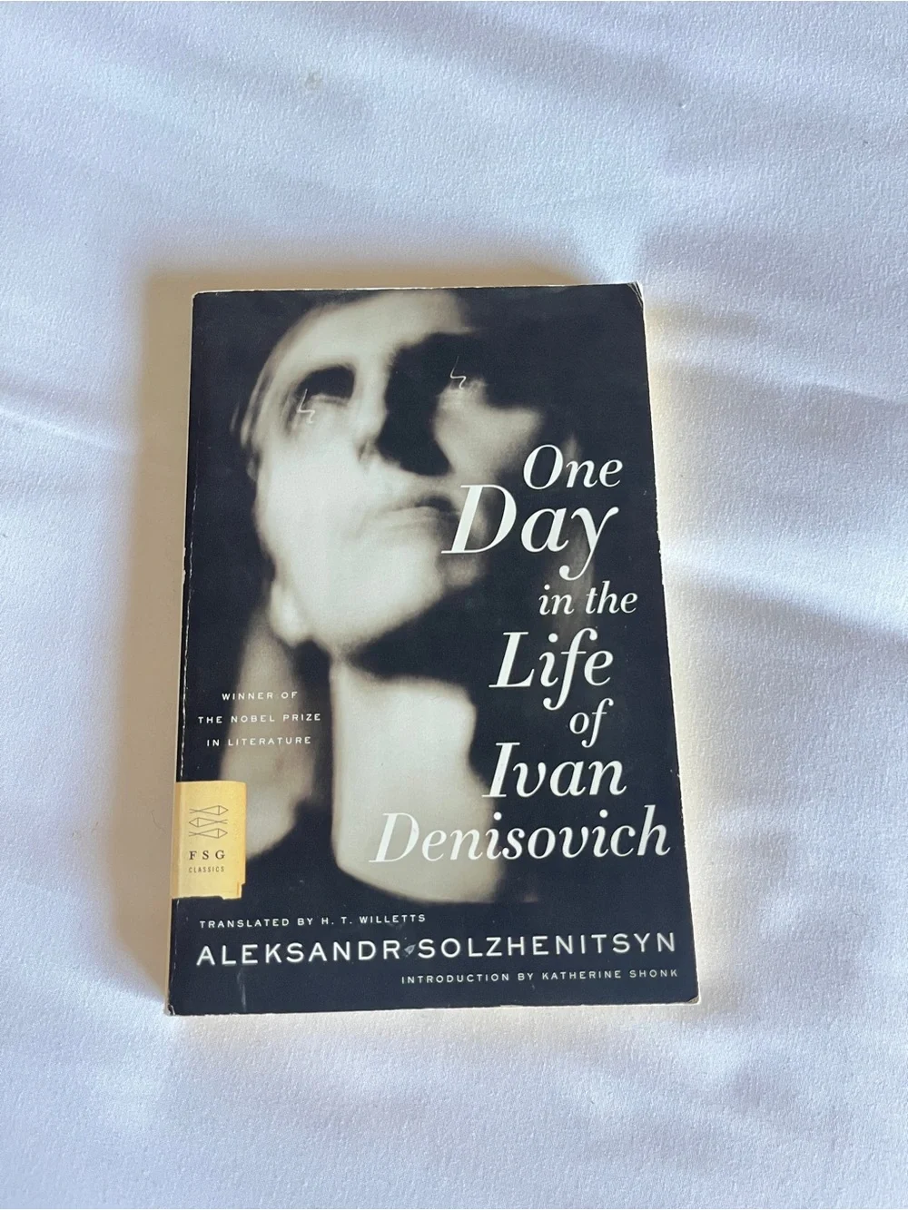 FSG Classics One Day in the Life of Ivan Denisovich Paperback Book Willetts